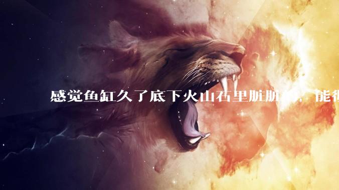感觉鱼缸久了底下火山石里脏脏的,能彻底换水清理一遍不?