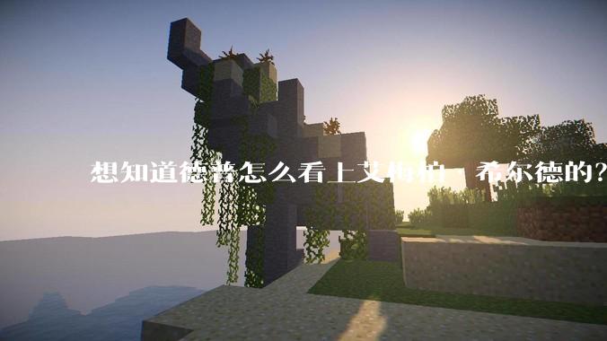 想知道德普怎么看上艾梅柏·希尔德的?