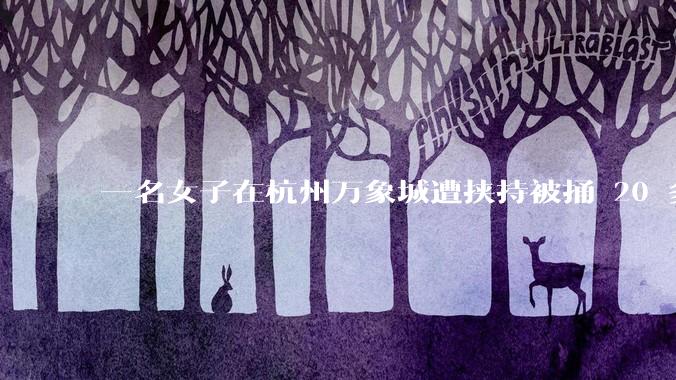 一名女子在杭州万象城遭挟持被捅 20 多刀,隆胸***体救了一命,这反映出哪些公安系统的问题?