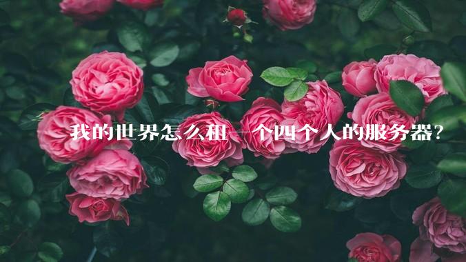 我的世界怎么租一个四个人的服务器?