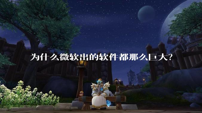 为什么微软出的软件都那么巨大?