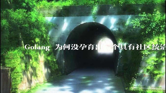 Golang 为何没孕育出一个具有社区统治力的框架?