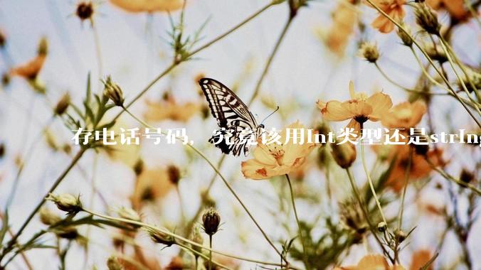 存电话号码,究竟该用int类型还是string类型?
