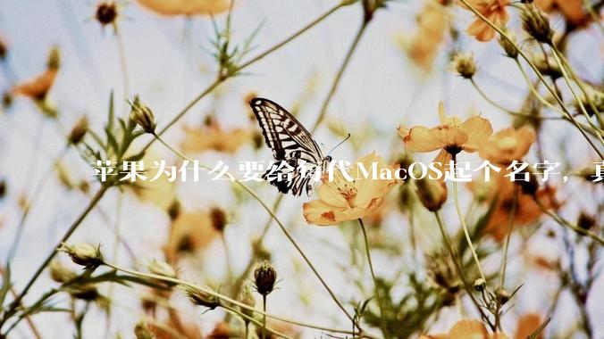 苹果为什么要给每代MacOS起个名字,真以为人们记得住分得清吗?