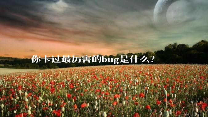 你卡过最厉害的bug是什么?