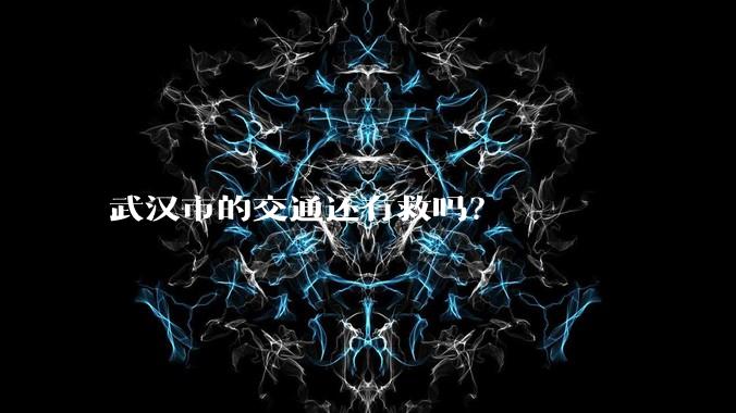 武汉市的交通还有救吗?
