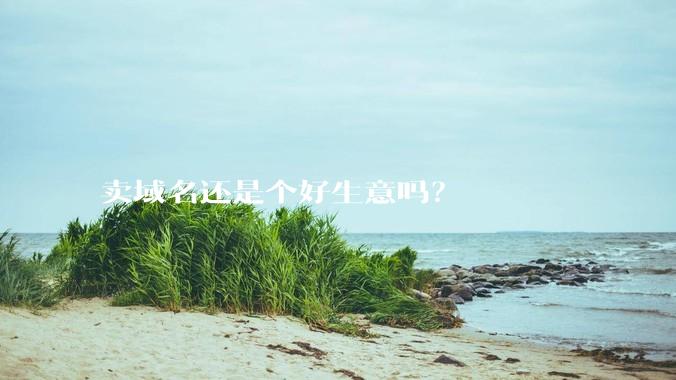 卖域名还是个好生意吗?