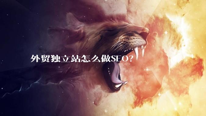 外贸独立站怎么做SEO?
